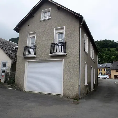 Les Iris Luz-Saint-Sauveur